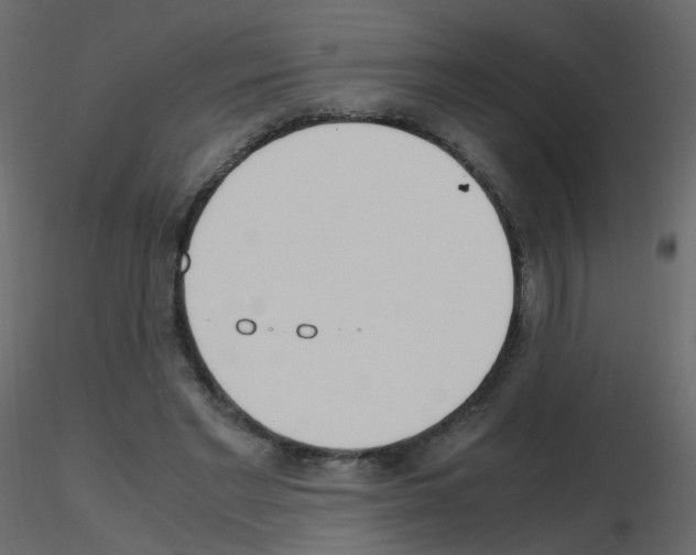 X0000115700493200912241526