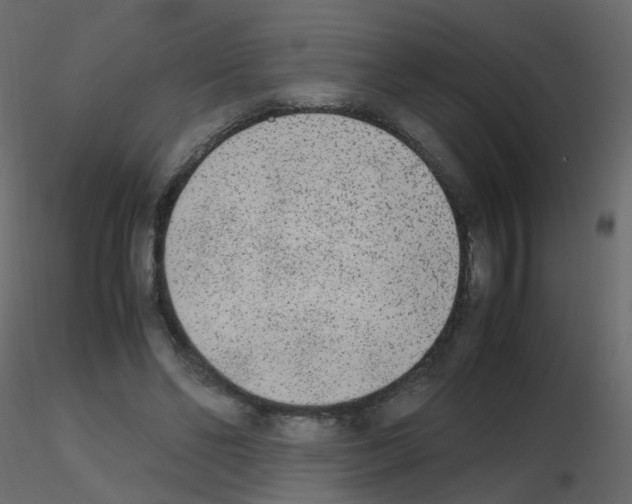 X0000115700494200912241526