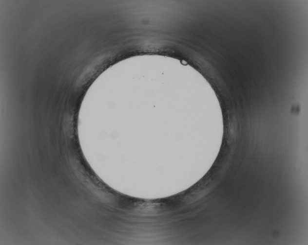 X0000115700497200912241526