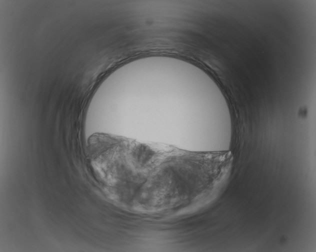 X0000115700499200912241526