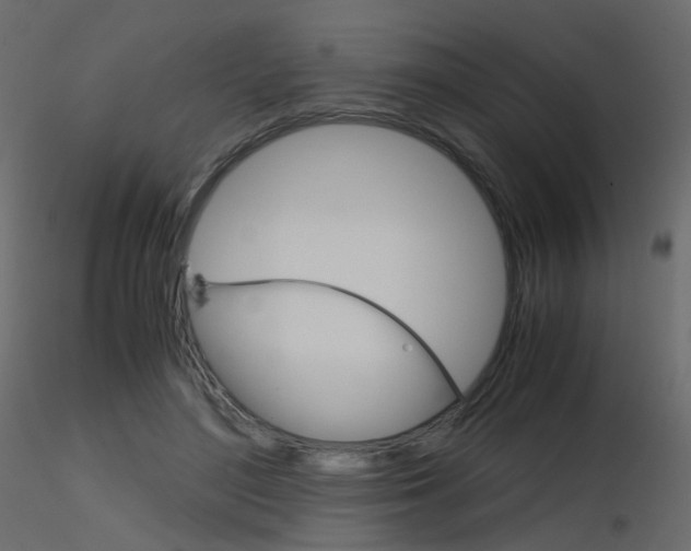 X0000115700500200912241526