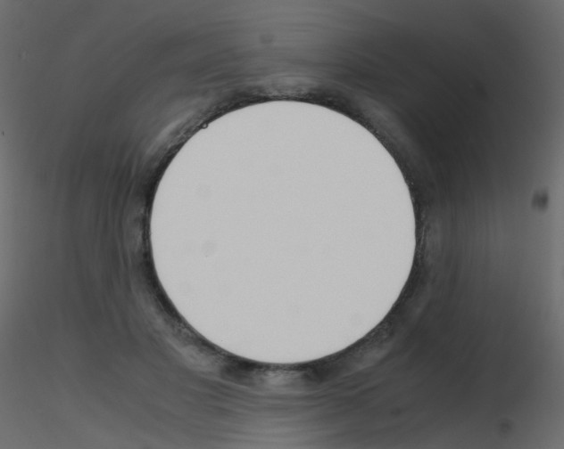 X0000115700501200912241526