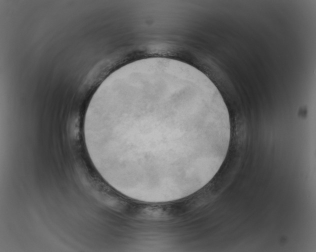 X0000115700502200912241526