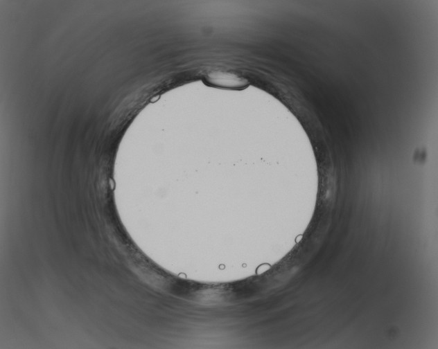 X0000115700505200912241526