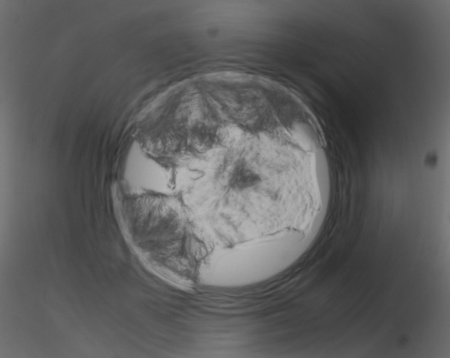 X0000115700507200912241526