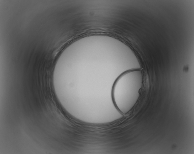 X0000115700508200912241526