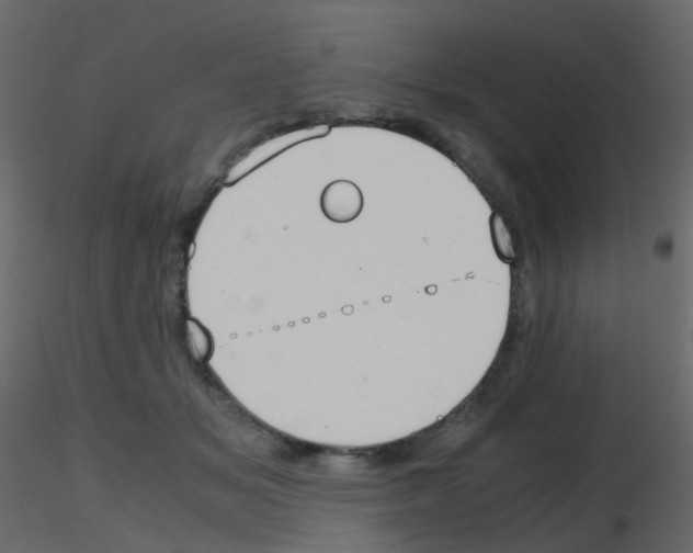 X0000115700509200912241525