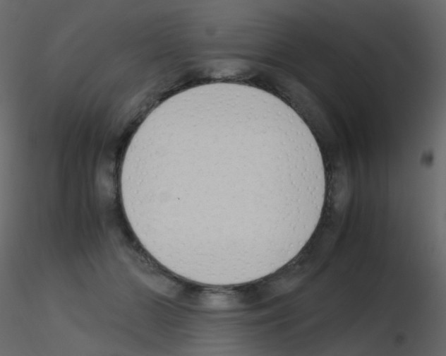 X0000115700510200912241525