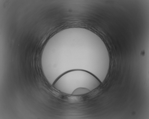 X0000115700516200912241525