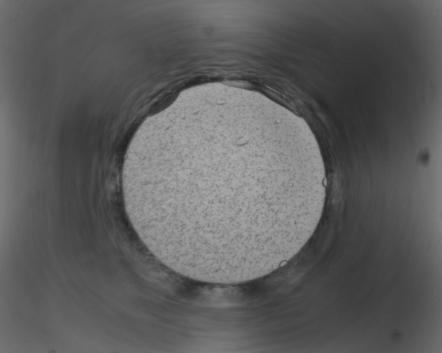 X0000115700517200912241525