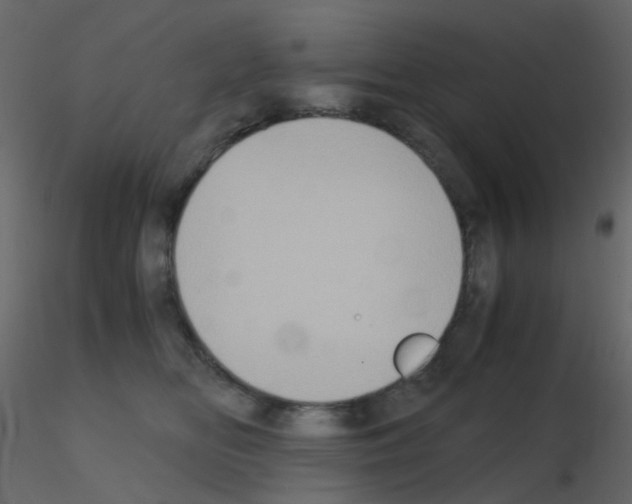 X0000115700518200912241525