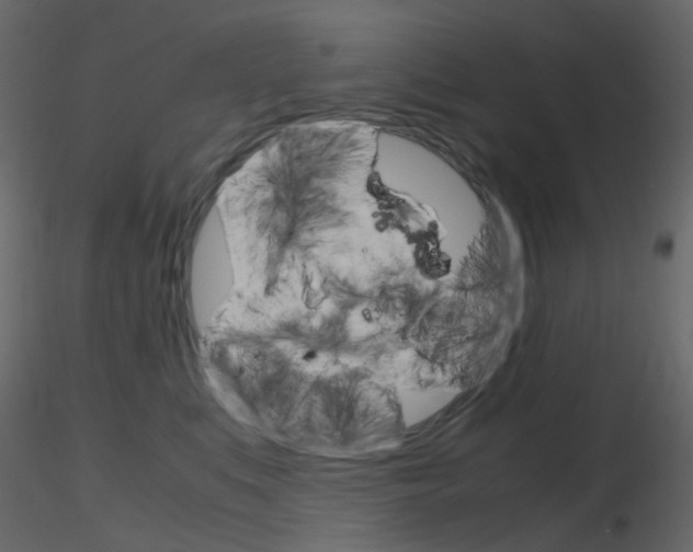 X0000115700519200912241525