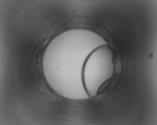 X0000115700520200912241525