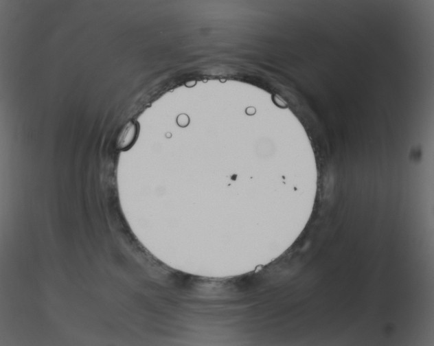 X0000115700521200912241525