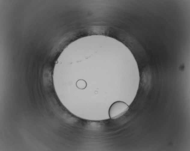 X0000115700522200912241525