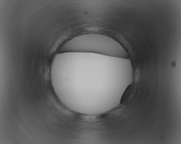 X0000115700524200912241525