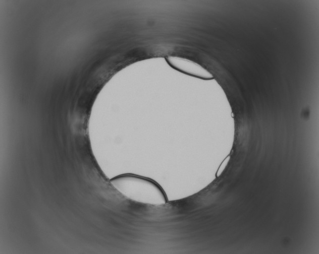 X0000115700525200912241525