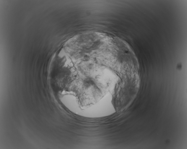 X0000115700527200912241525