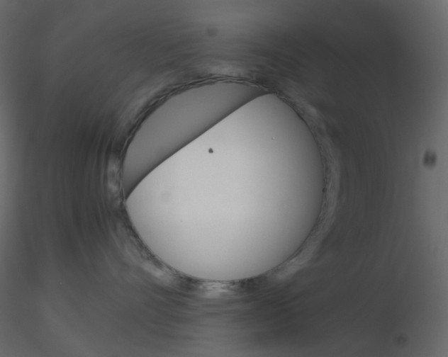 X0000115700528200912241525