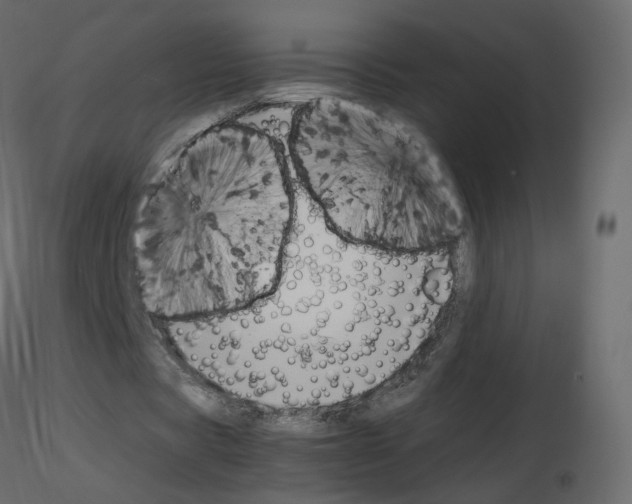 X0000115700529200912241524