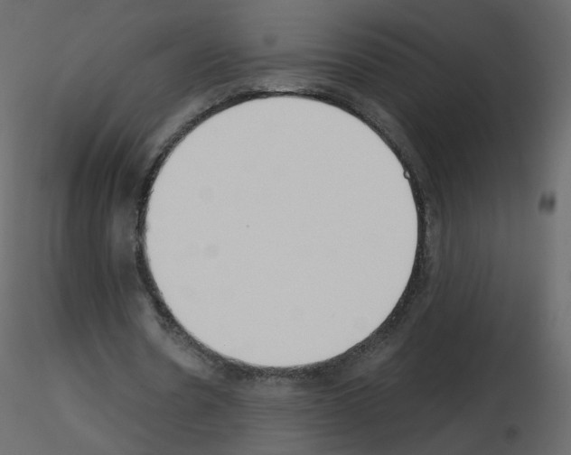 X0000115700530200912241524