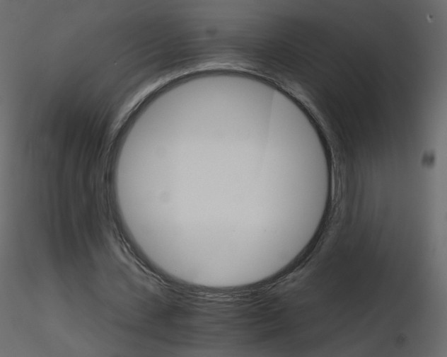 X0000115700531200912241524