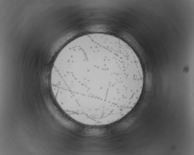 X0000115700533200912241524