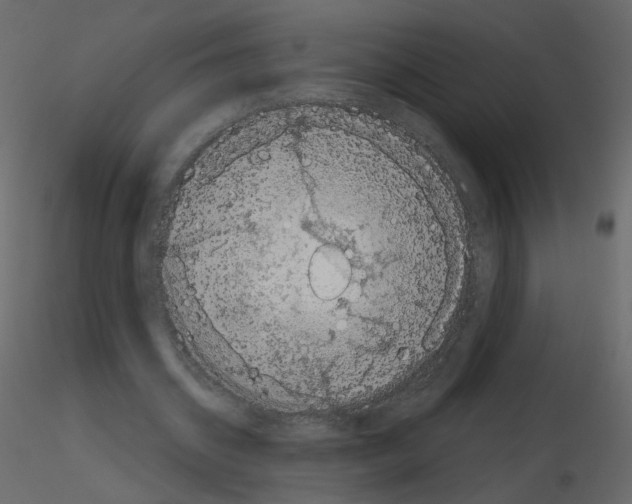 X0000115700534200912241524