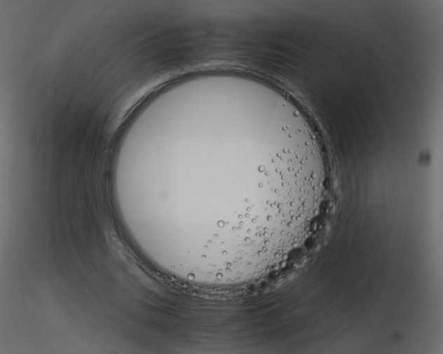 X0000115700535200912241524