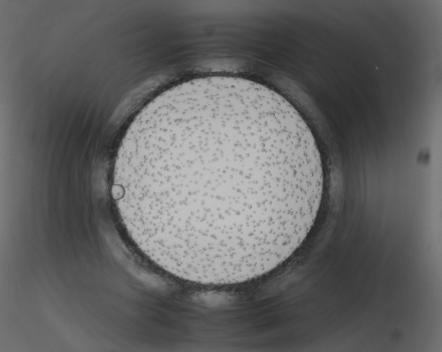 X0000115700537200912241525