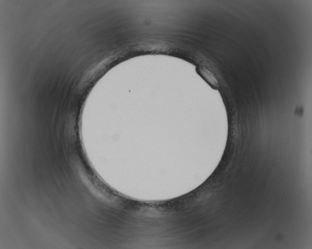 X0000115700538200912241525