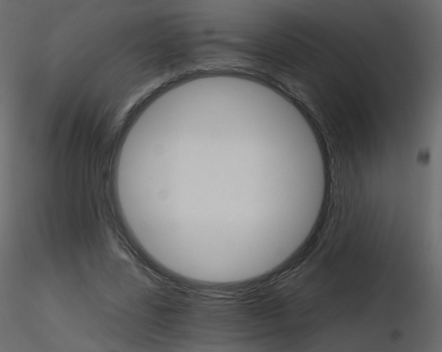 X0000115700539200912241525