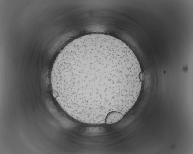 X0000115700541200912241525