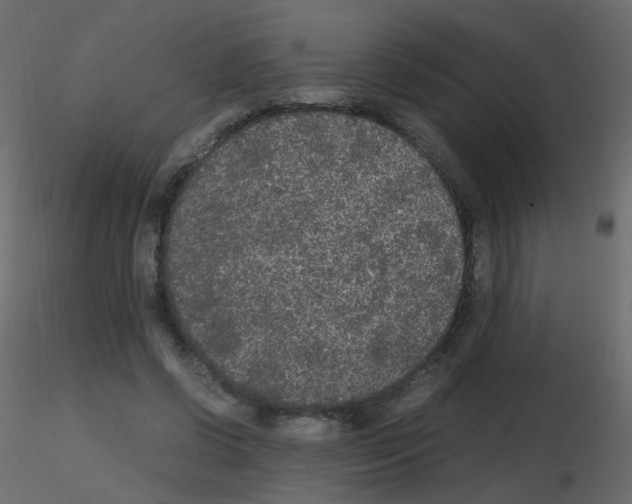 X0000115700542200912241525