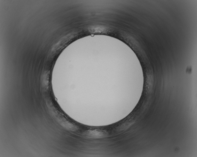 X0000115700545200912241525