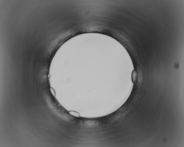 X0000115700546200912241525