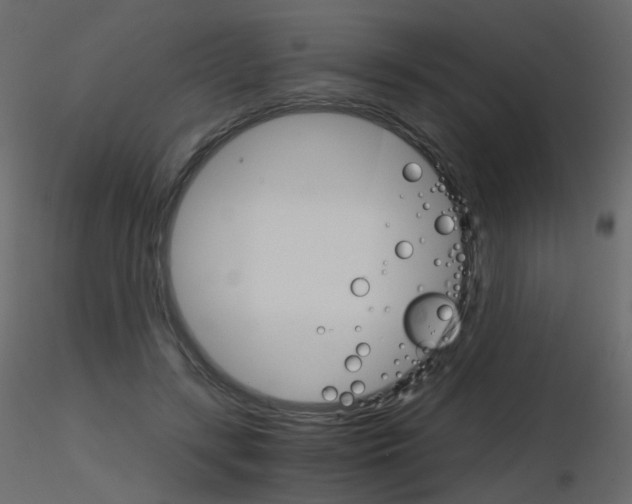 X0000115700547200912241525