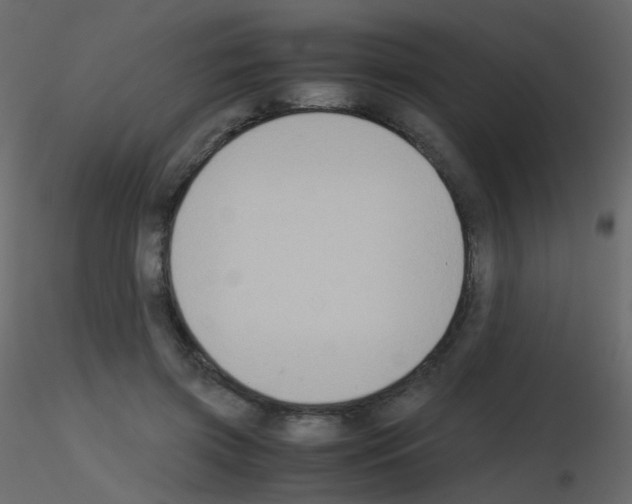 X0000115700549200912241525