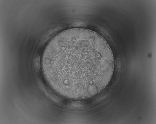 X0000115700550200912241525