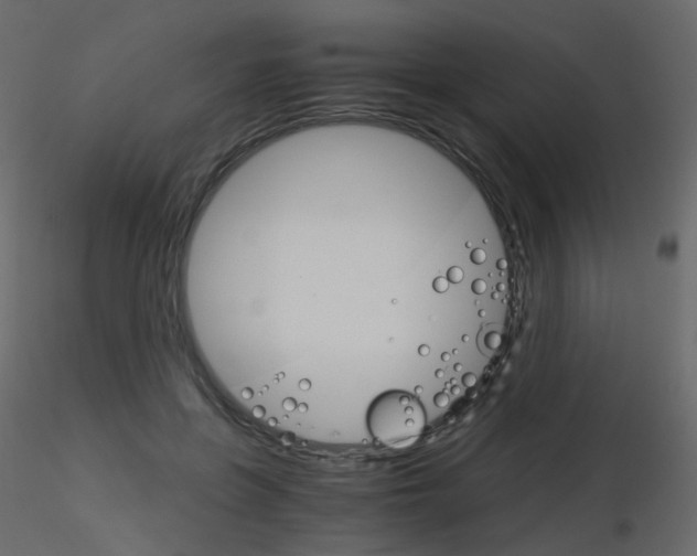 X0000115700551200912241525