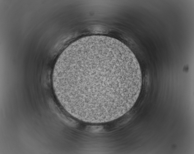 X0000115700554200912241525