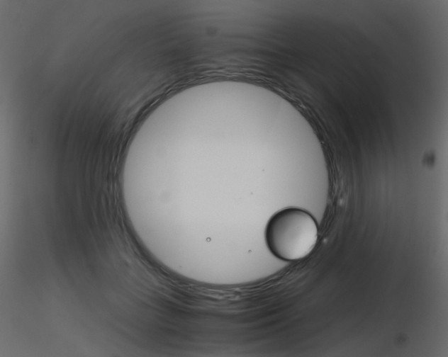 X0000115700555200912241525