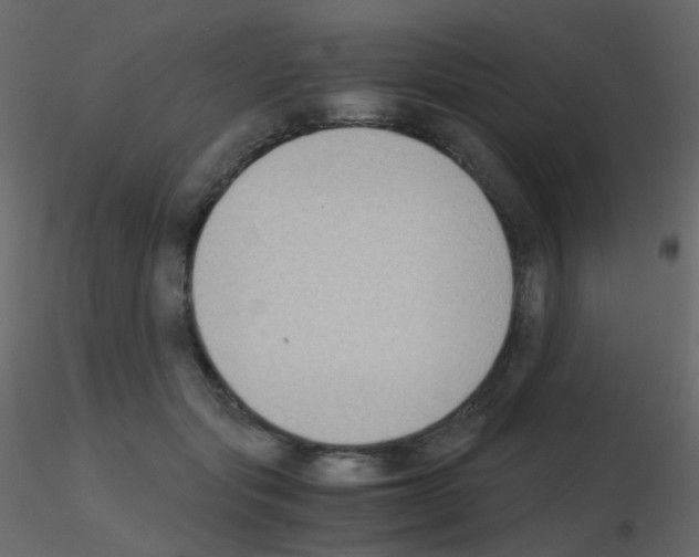 X0000115700557200912241525