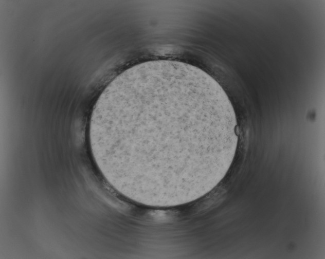 X0000115700558200912241525