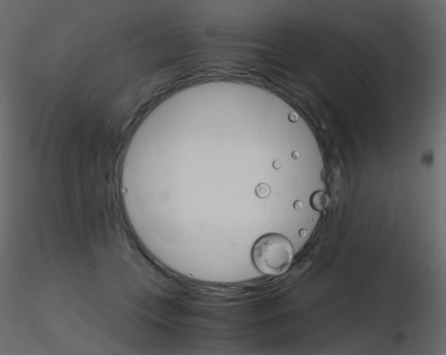 X0000115700559200912241525