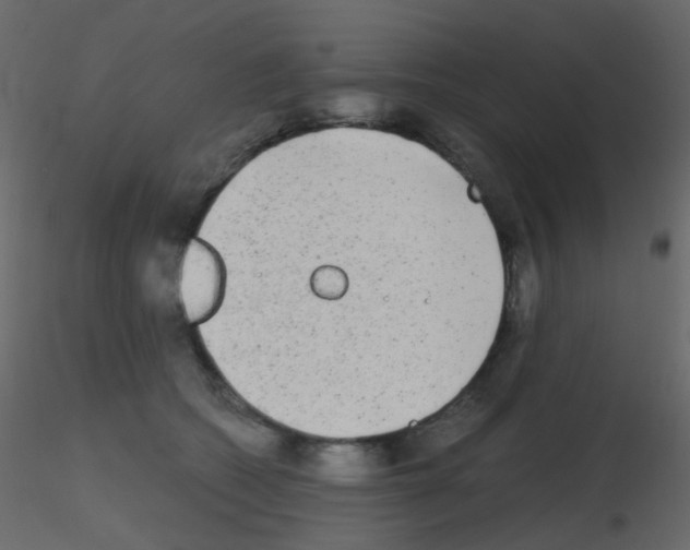 X0000115700562200912241525