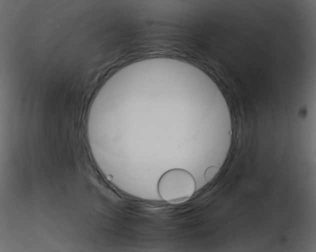 X0000115700563200912241525