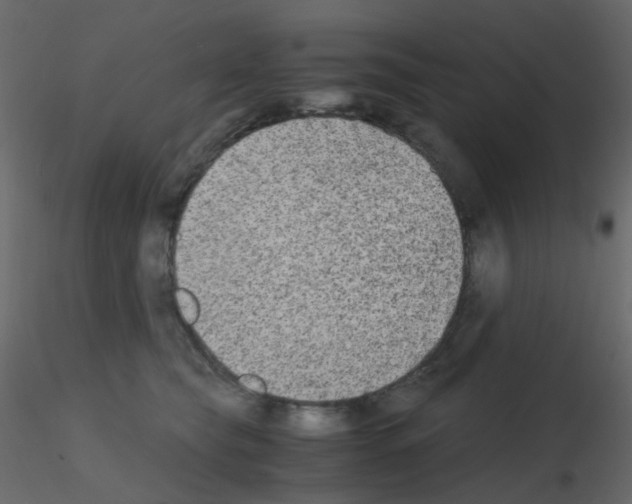 X0000115700565200912241525