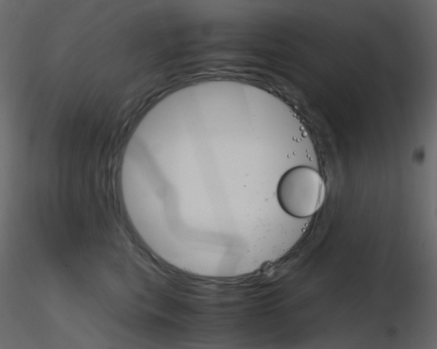 X0000115700567200912241525