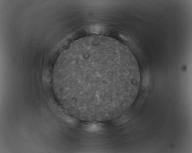 X0000115700569200912241525